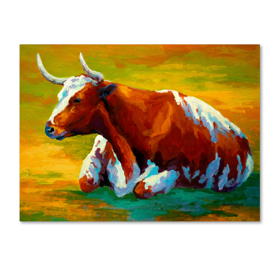 Marion Rose Longhorn Cow Ready to Hang Canvas Art 18 x 24 Inches Made in USA Image 1