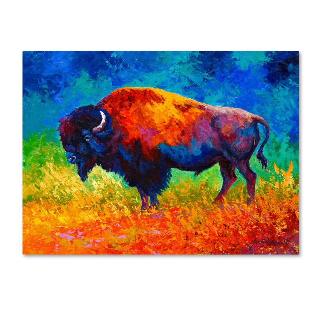 Marion Rose Master Of His Herd Ready to Hang Canvas Art 18 x 24 Inches Made in USA Image 1