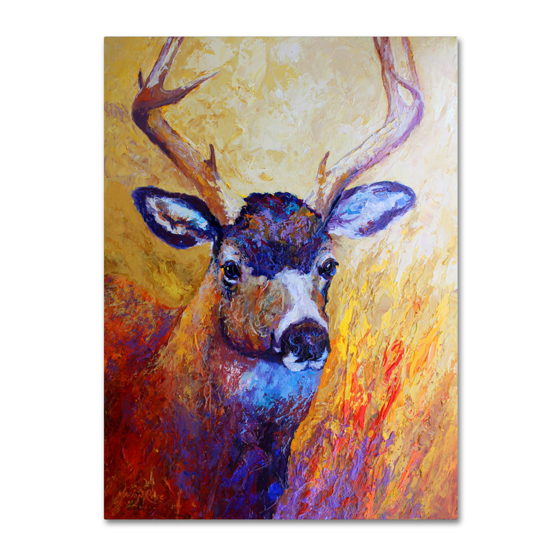 Marion Rose Mule Deer Buck Ready to Hang Canvas Art 18 x 24 Inches Made in USA Image 1