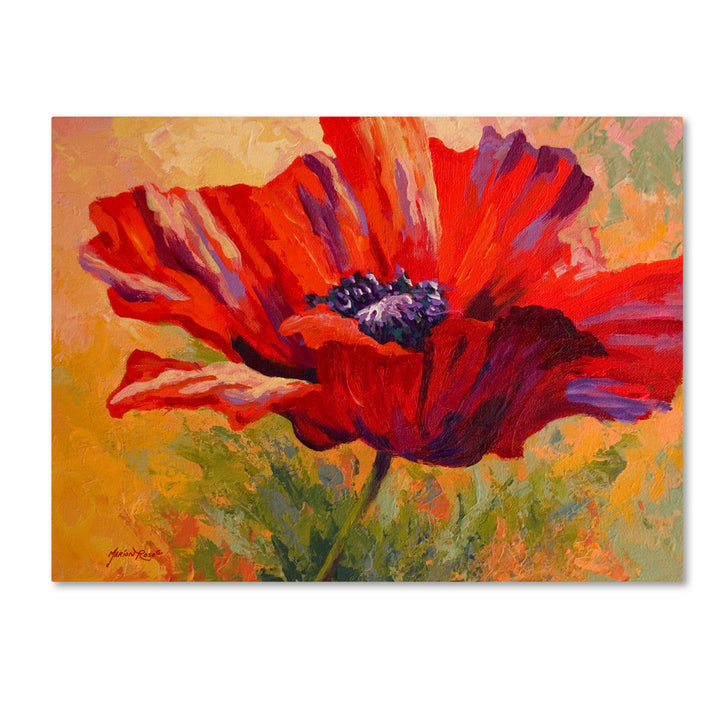 Marion Rose Red Poppy II Ready to Hang Canvas Art 18 x 24 Inches Made in USA Image 1