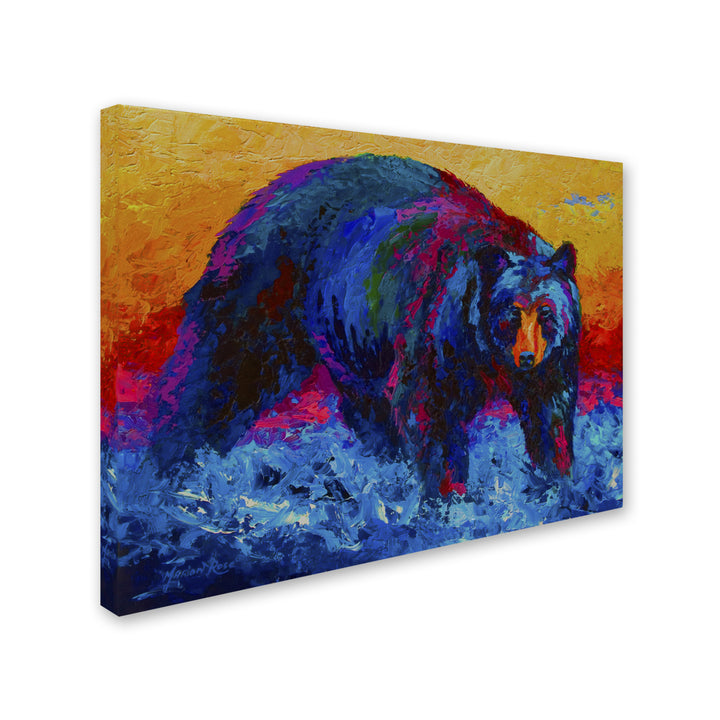 Marion Rose Scouting Fish Black Bear Ready to Hang Canvas Art 18 x 24 Inches Made in USA Image 2