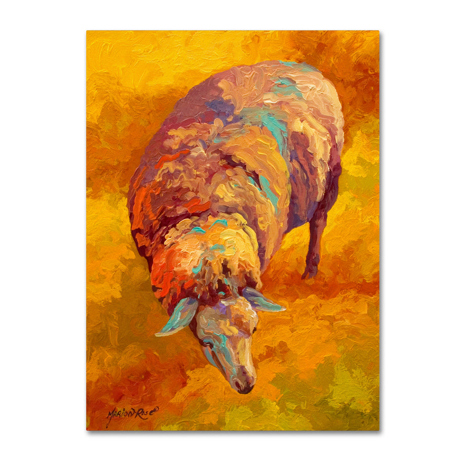 Marion Rose Sheep Ready to Hang Canvas Art 18 x 24 Inches Made in USA Image 1