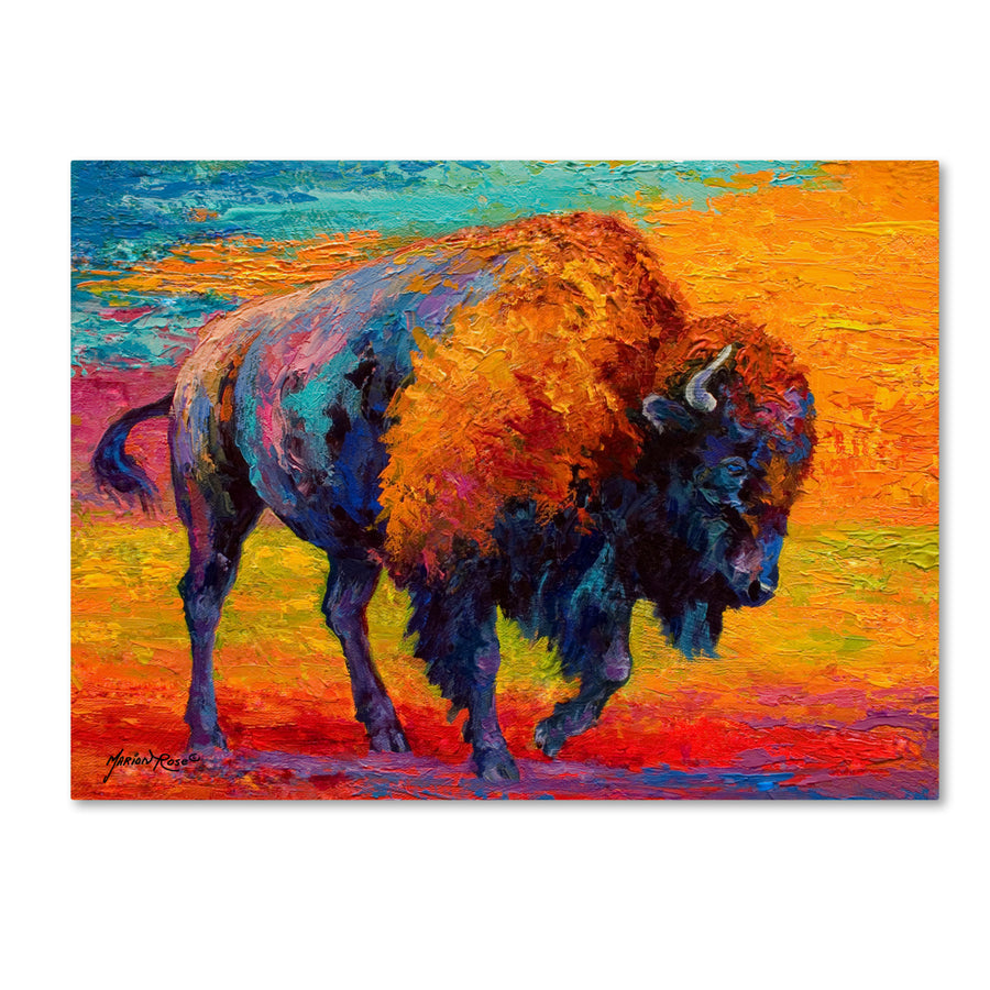 Marion Rose Spirit Of The Prairie Ready to Hang Canvas Art 18 x 24 Inches Made in USA Image 1