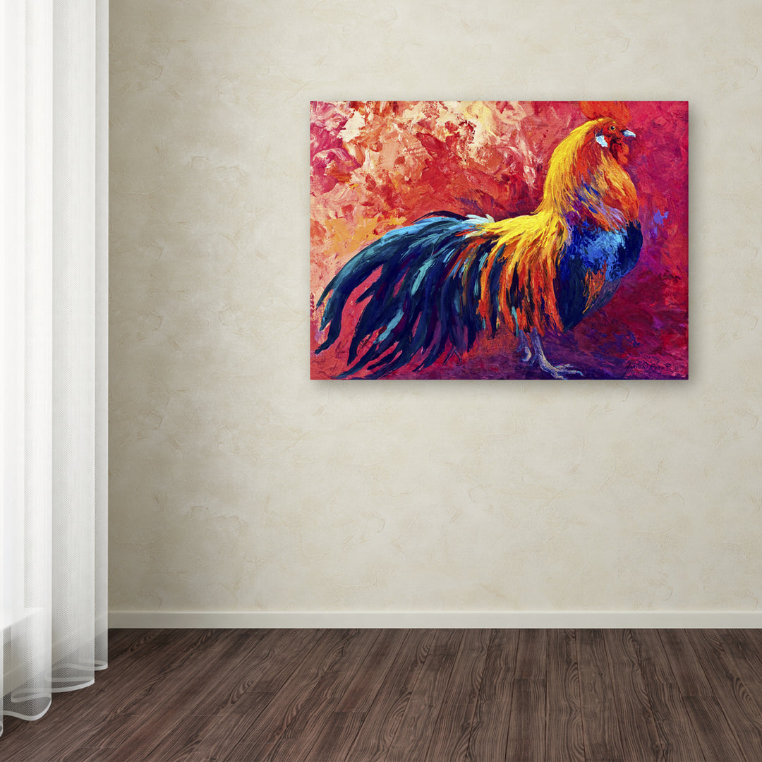 Marion Rose Strutting His Stuff Ready to Hang Canvas Art 18 x 24 Inches Made in USA Image 3