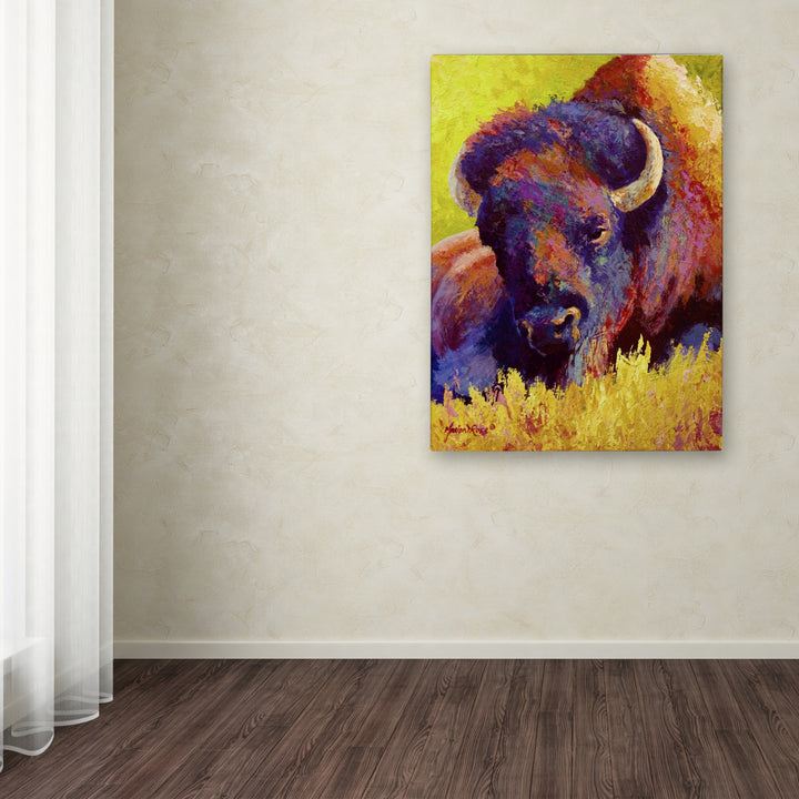 Marion Rose Timeless Spirit Bison Ready to Hang Canvas Art 18 x 24 Inches Made in USA Image 3