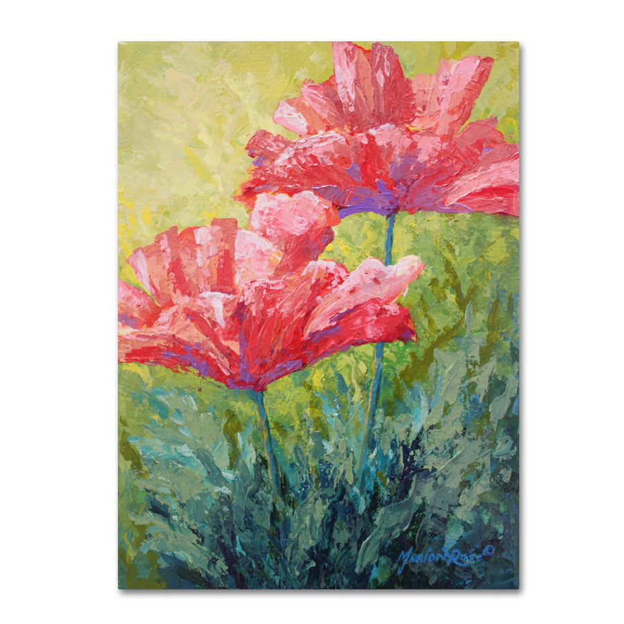 Marion Rose Two Red Poppies  Ready to Hang Canvas Art 18 x 24 Inches Made in USA Image 1