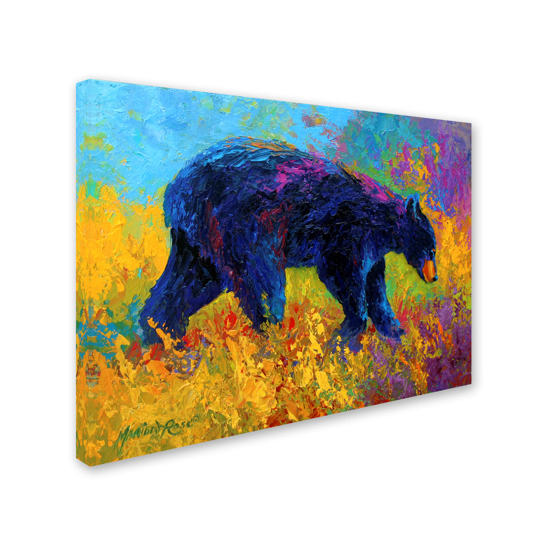 Marion Rose Young Restless II Black Bear Big Ready to Hang Canvas Art 18 x 24 Inches Made in USA Image 2