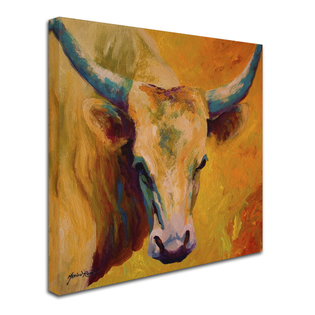 Marion Rose Creamy Texan Ready to Hang Canvas Art 24 x 24 Inches Made in USA Image 2