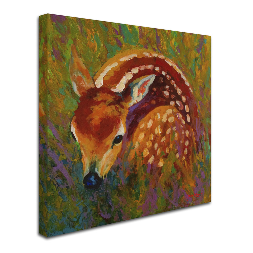 Marion Rose  Fawn Ready to Hang Canvas Art 24 x 24 Inches Made in USA Image 2