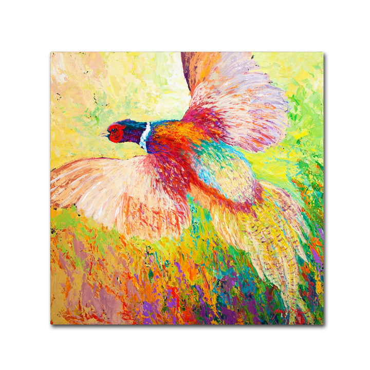 Marion Rose Pheasant 1 Ready to Hang Canvas Art 24 x 24 Inches Made in USA Image 1