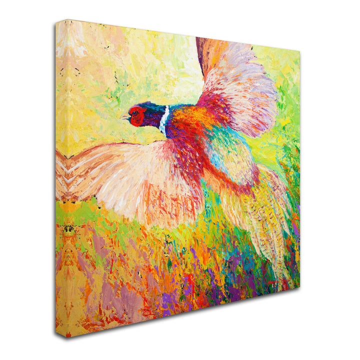 Marion Rose Pheasant 1 Ready to Hang Canvas Art 24 x 24 Inches Made in USA Image 2