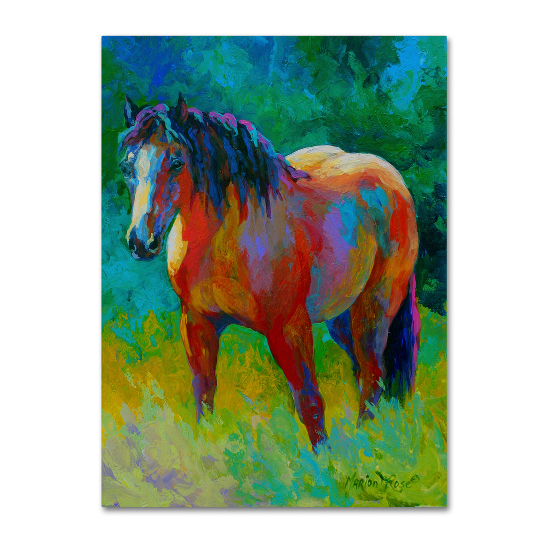 Marion Rose Buckskin II Ready to Hang Canvas Art 24 x 32 Inches Made in USA Image 1