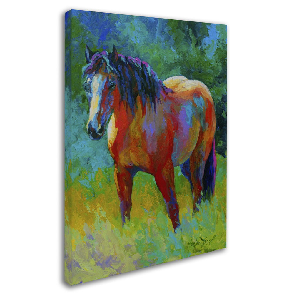Marion Rose Buckskin II Ready to Hang Canvas Art 24 x 32 Inches Made in USA Image 2