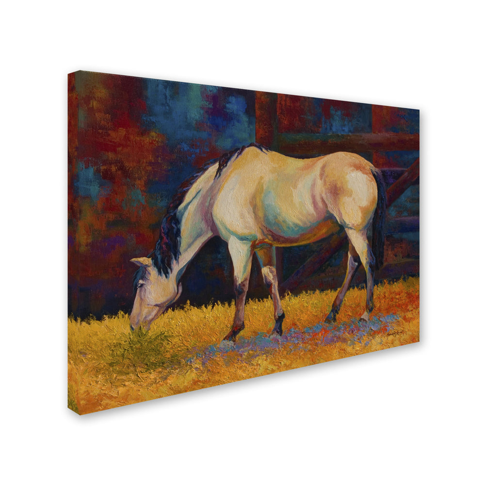 Marion Rose Buckskin I Ready to Hang Canvas Art 24 x 32 Inches Made in USA Image 2