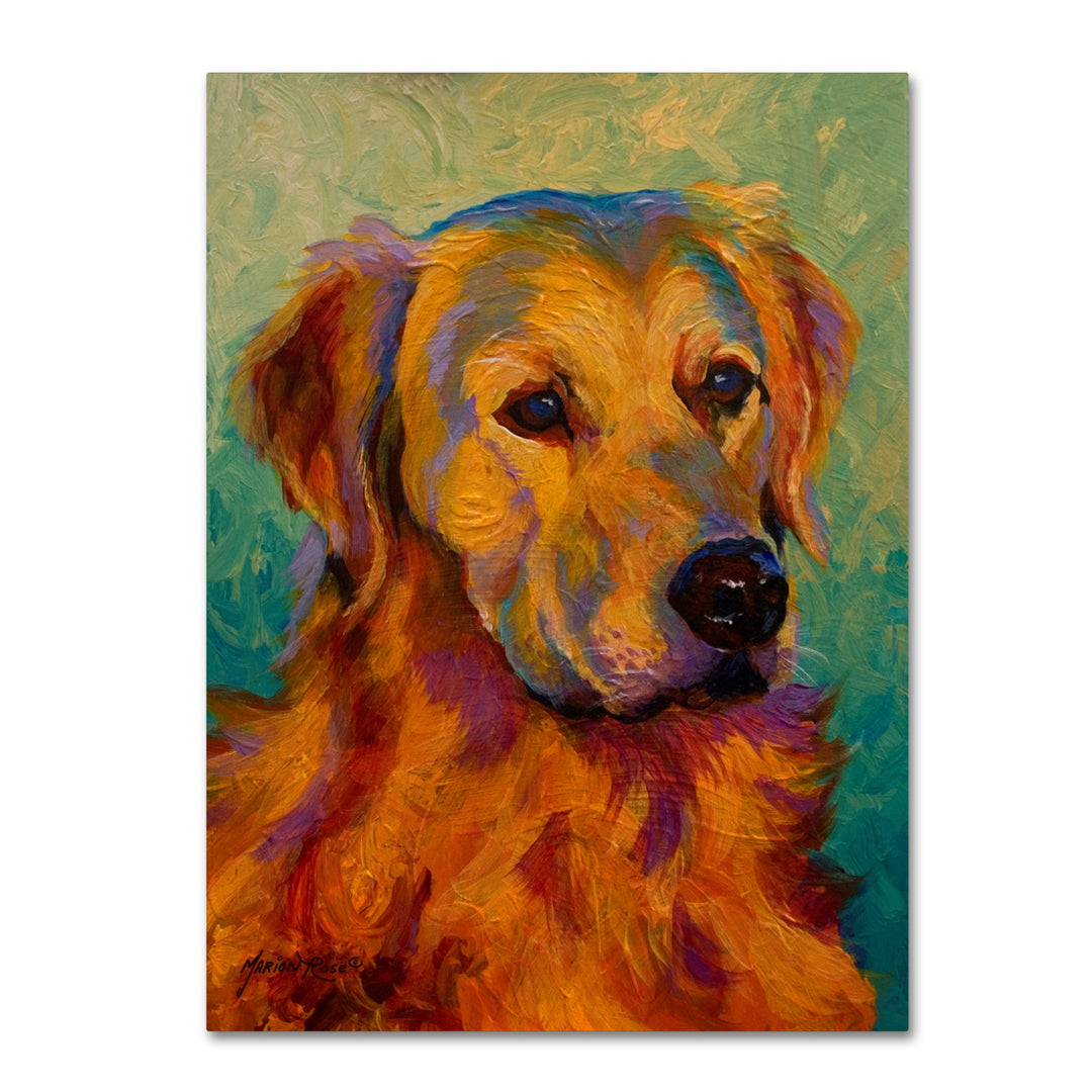 Marion Rose Den Retriever Ready to Hang Canvas Art 24 x 32 Inches Made in USA Image 1