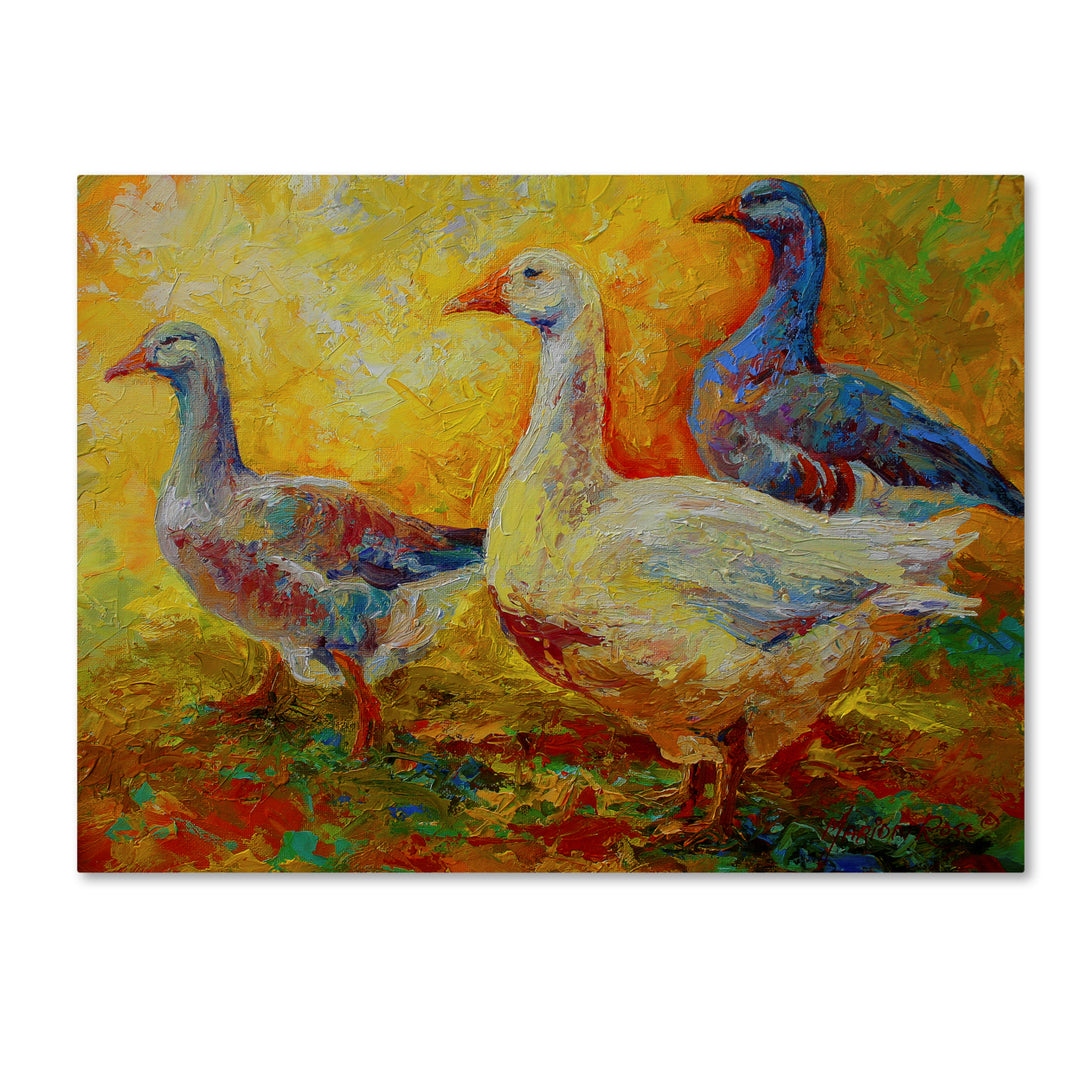 Marion Rose Gaggle Of 1 Ready to Hang Canvas Art 24 x 32 Inches Made in USA Image 1