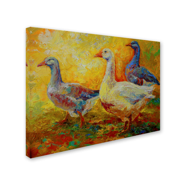 Marion Rose Gaggle Of 1 Ready to Hang Canvas Art 24 x 32 Inches Made in USA Image 2