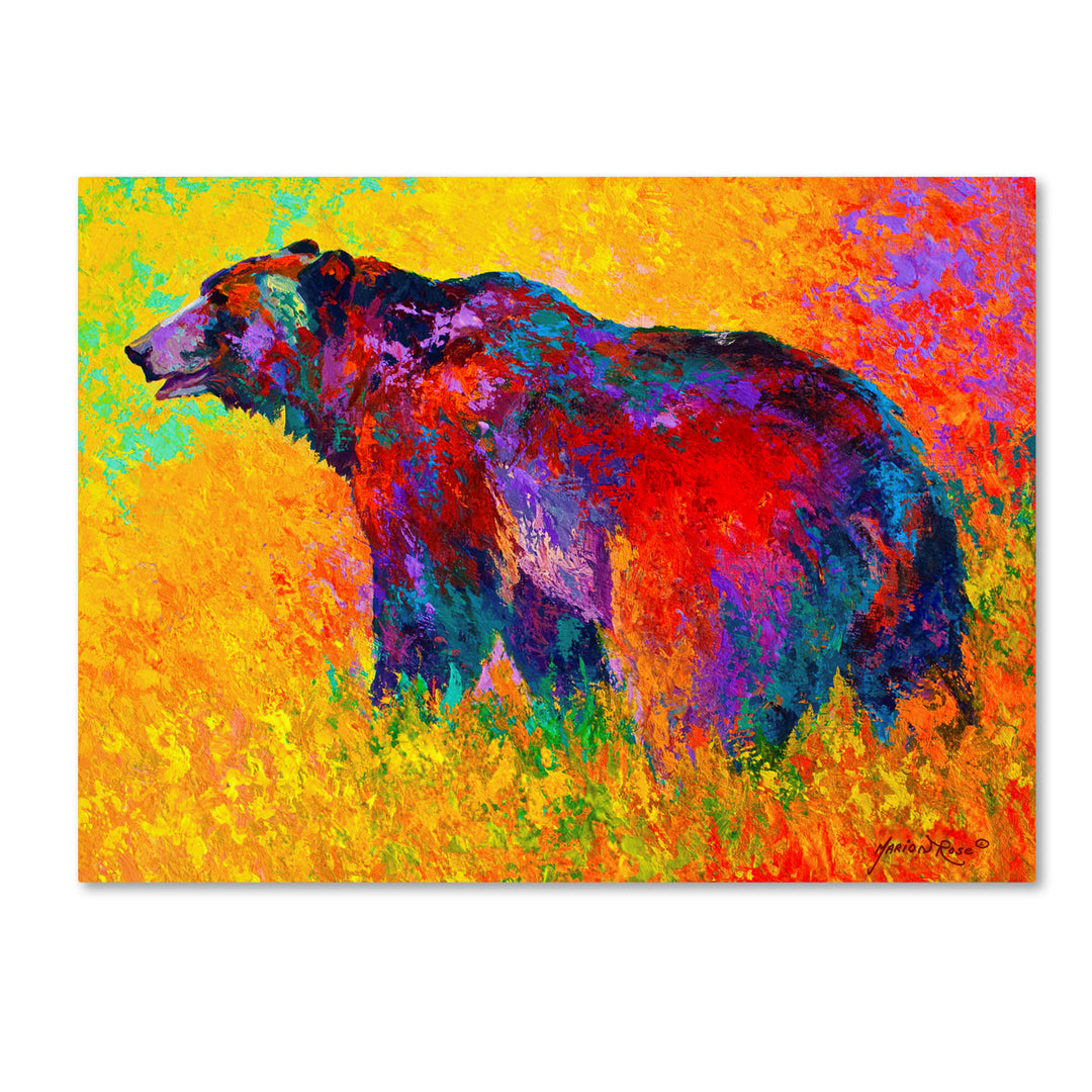 Marion Rose Into The Wind Grizz Ready to Hang Canvas Art 24 x 32 Inches Made in USA Image 1