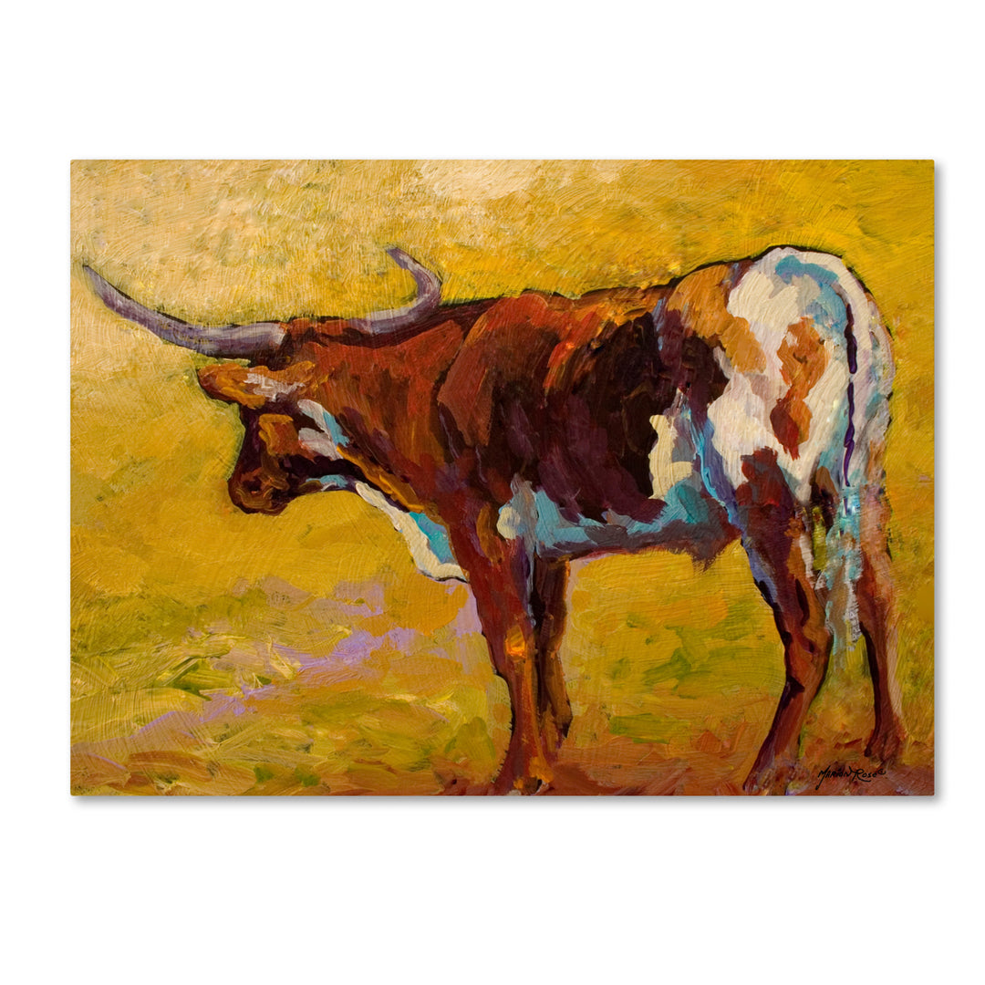 Marion Rose Longhorn Back Portrait Ready to Hang Canvas Art 24 x 32 Inches Made in USA Image 1