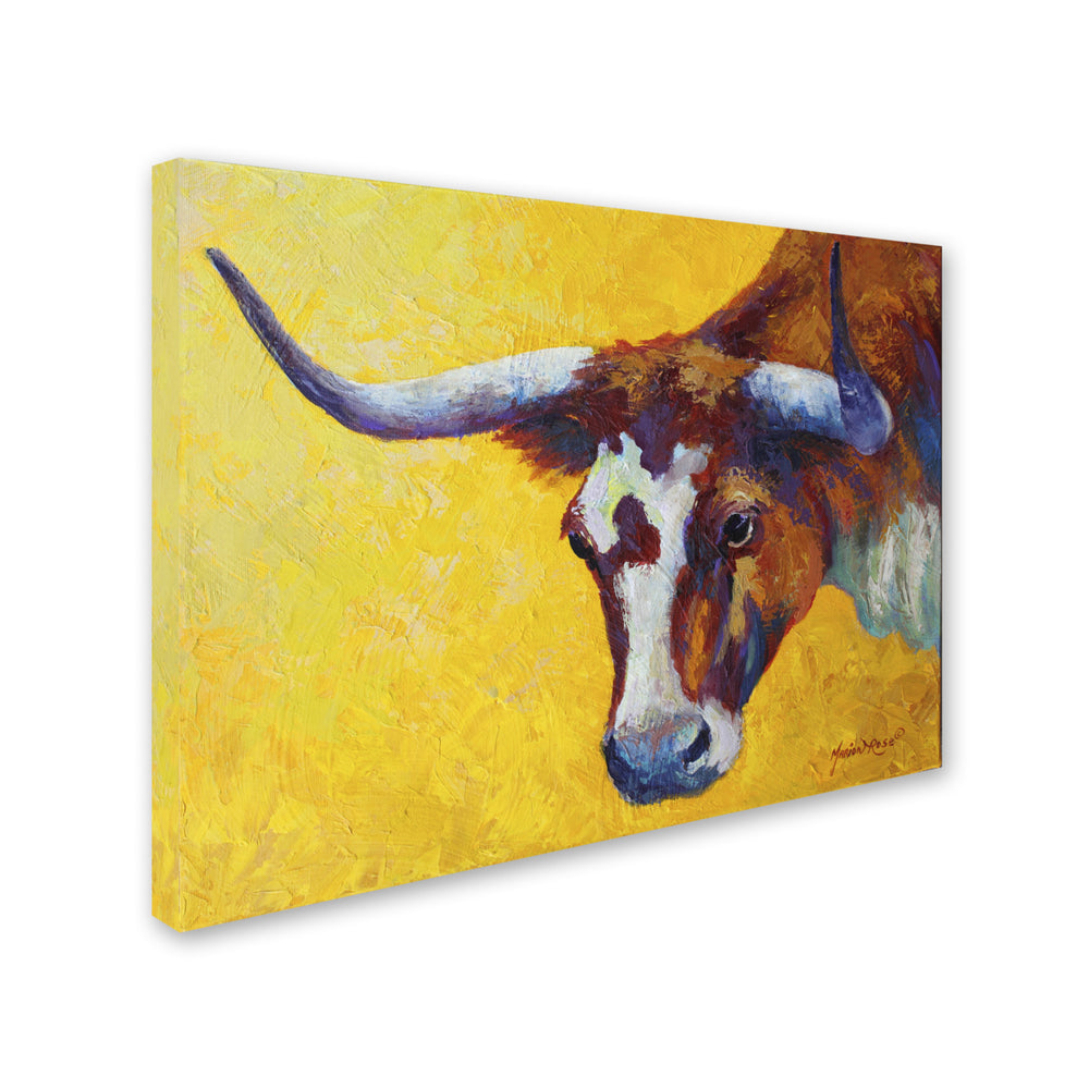 Marion Rose Longhorn Cow Study Ready to Hang Canvas Art 24 x 32 Inches Made in USA Image 2