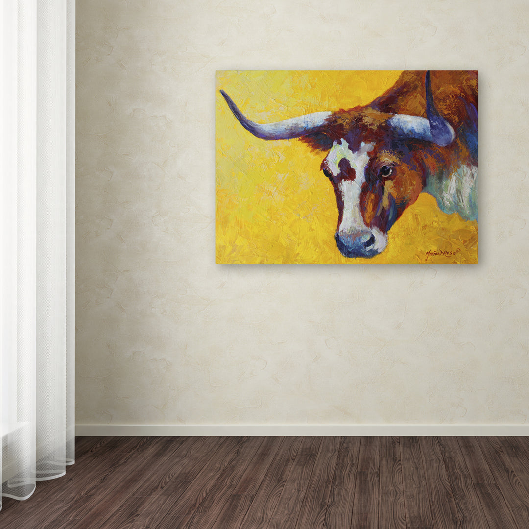 Marion Rose Longhorn Cow Study Ready to Hang Canvas Art 24 x 32 Inches Made in USA Image 3