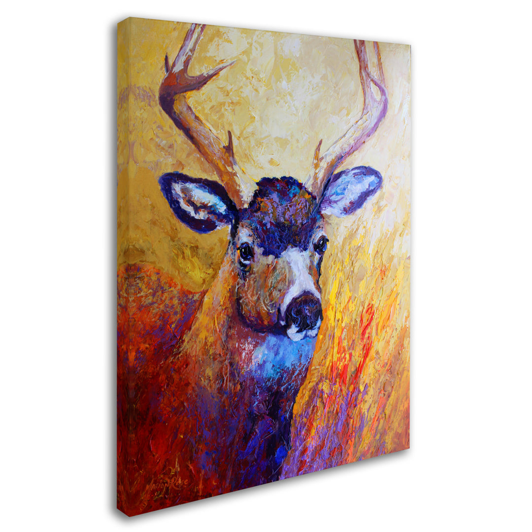 Marion Rose Mule Deer Buck Ready to Hang Canvas Art 24 x 32 Inches Made in USA Image 2