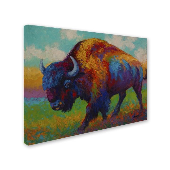 Marion Rose Prairie Muse Ready to Hang Canvas Art 24 x 32 Inches Made in USA Image 2