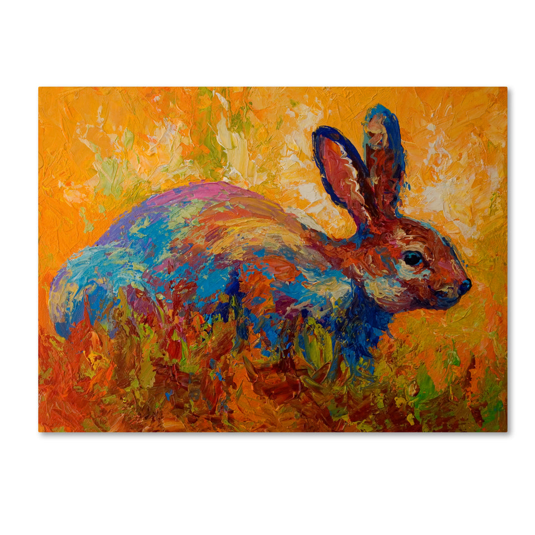Marion Rose Rabbit II Ready to Hang Canvas Art 24 x 32 Inches Made in USA Image 1