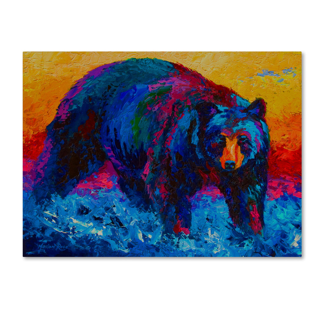Marion Rose Scouting Fish Black Bear Ready to Hang Canvas Art 24 x 32 Inches Made in USA Image 1