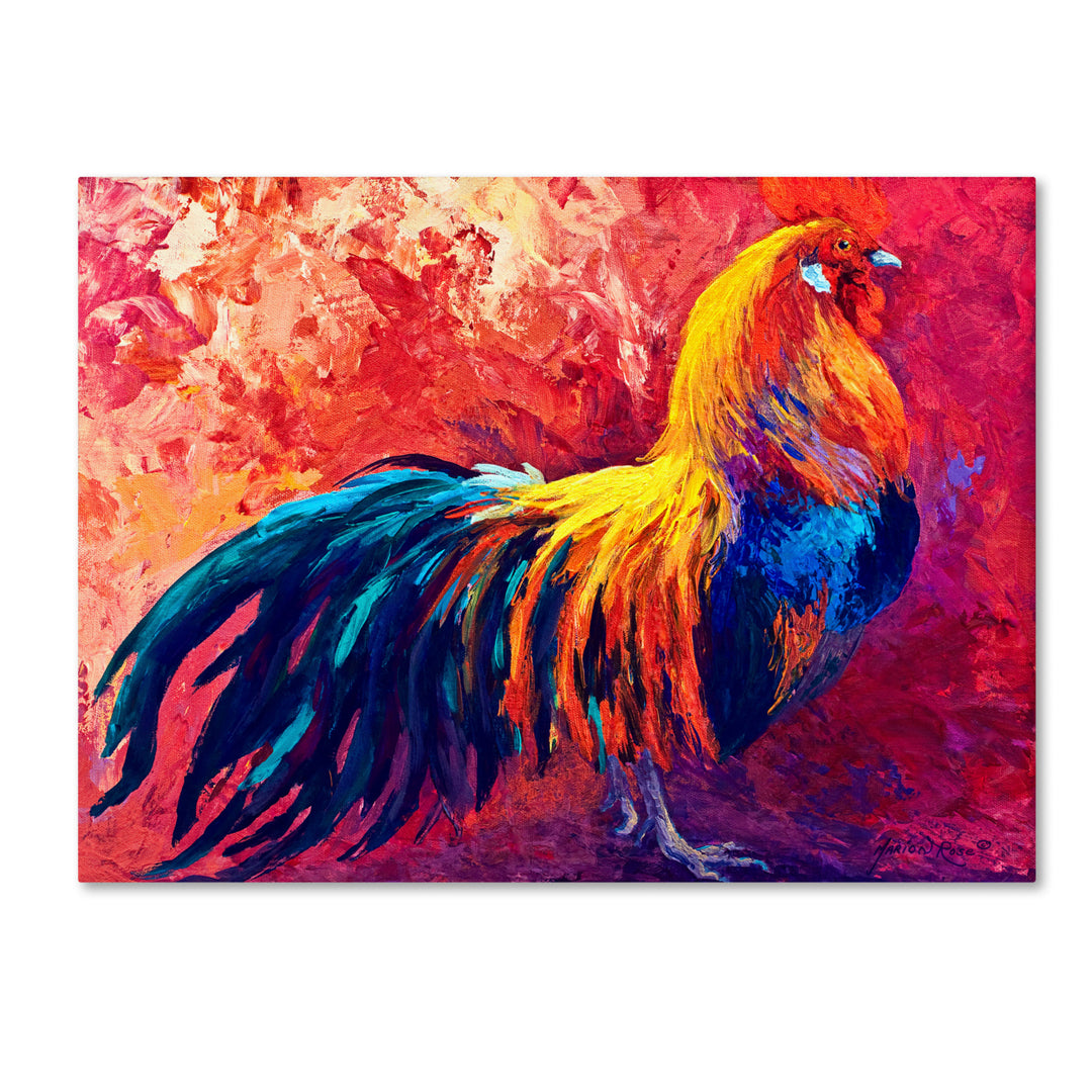 Marion Rose Strutting His Stuff Ready to Hang Canvas Art 24 x 32 Inches Made in USA Image 1