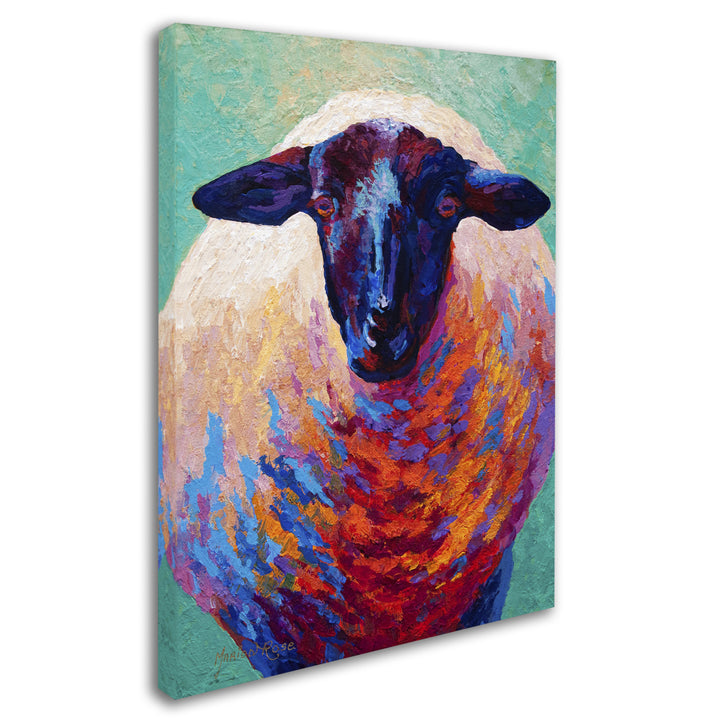 Marion Rose Suffolk Ewe 4 Ready to Hang Canvas Art 24 x 32 Inches Made in USA Image 2