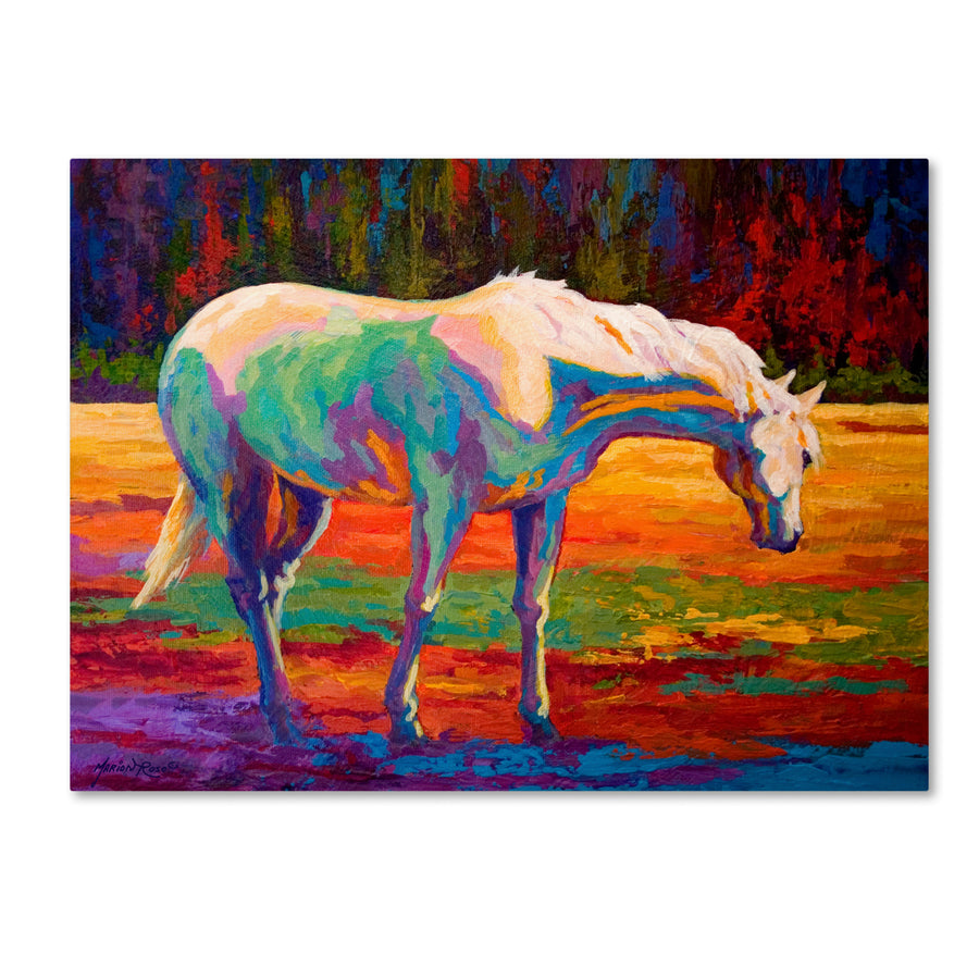 Marion Rose White MareII Ready to Hang Canvas Art 24 x 32 Inches Made in USA Image 1