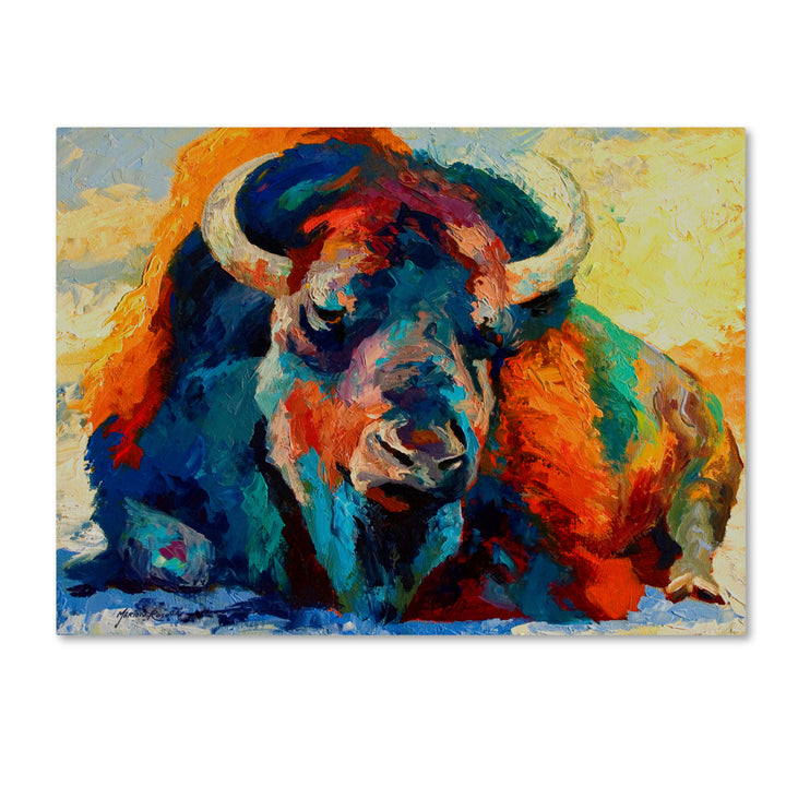 Marion Rose Winter Bison Ready to Hang Canvas Art 24 x 32 Inches Made in USA Image 1