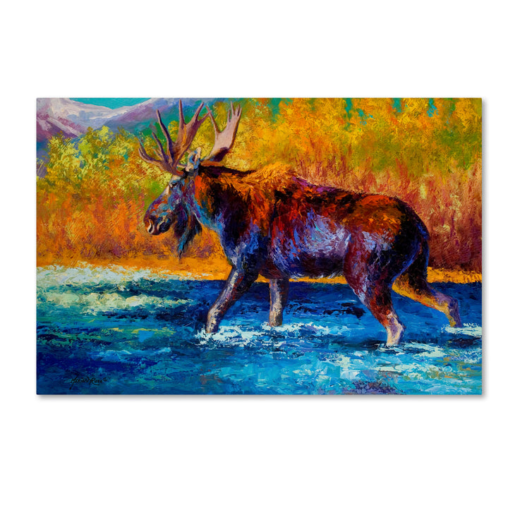 Marion Rose Autumns Glimpse Moose Ready to Hang Canvas Art 30 x 47 Inches Made in USA Image 1