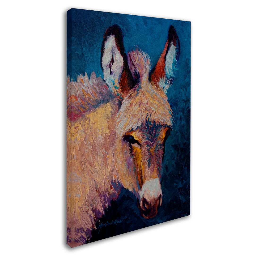 Marion Rose Burro 1 Ready to Hang Canvas Art 30 x 47 Inches Made in USA Image 2