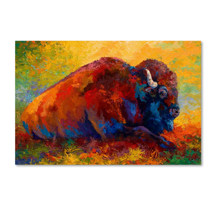 Marion Rose Spirit Brother I Ready to Hang Canvas Art 30 x 47 Inches Made in USA Image 1
