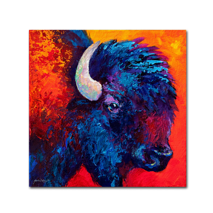 Marion Rose Bison Head II Ready to Hang Canvas Art 35 x 35 Inches Made in USA Image 1