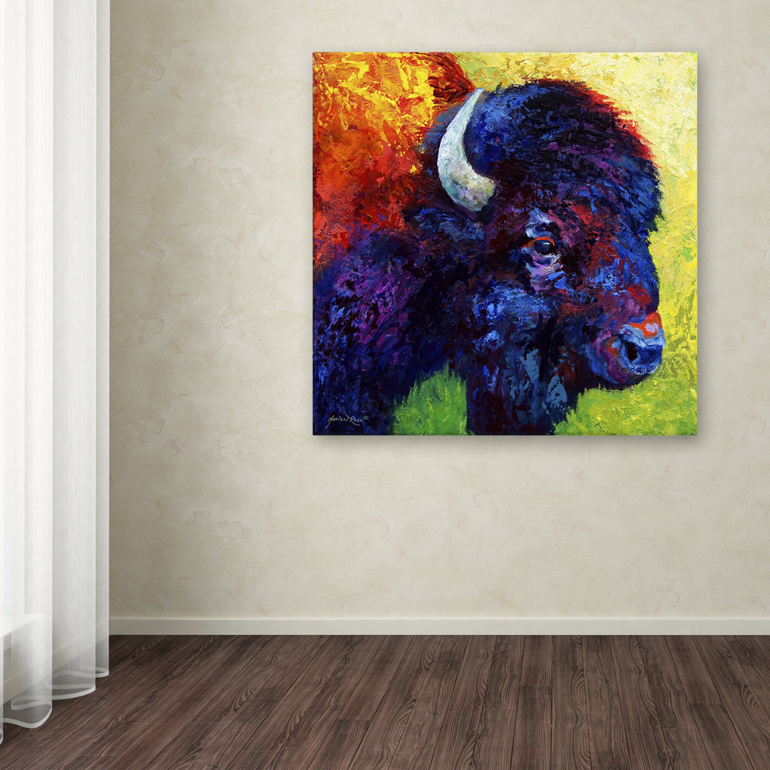 Marion Rose Bison Head III Ready to Hang Canvas Art 35 x 35 Inches Made in USA Image 3