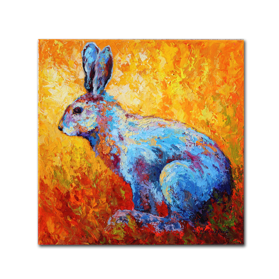 Marion Rose Bunnie (krabbit) Ready to Hang Canvas Art 35 x 35 Inches Made in USA Image 1