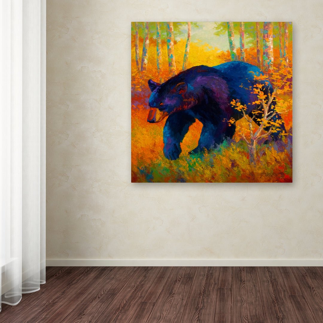 Marion Rose In To Spring Black Bear Ready to Hang Canvas Art 35 x 35 Inches Made in USA Image 3