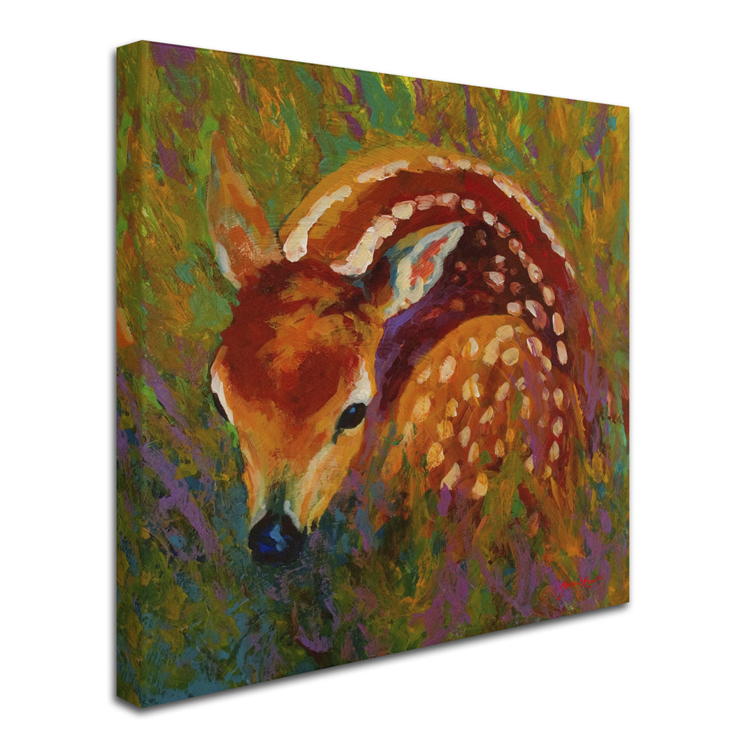 Marion Rose Fawn Ready to Hang Canvas Art 35 x 35 Inches Made in USA Image 2