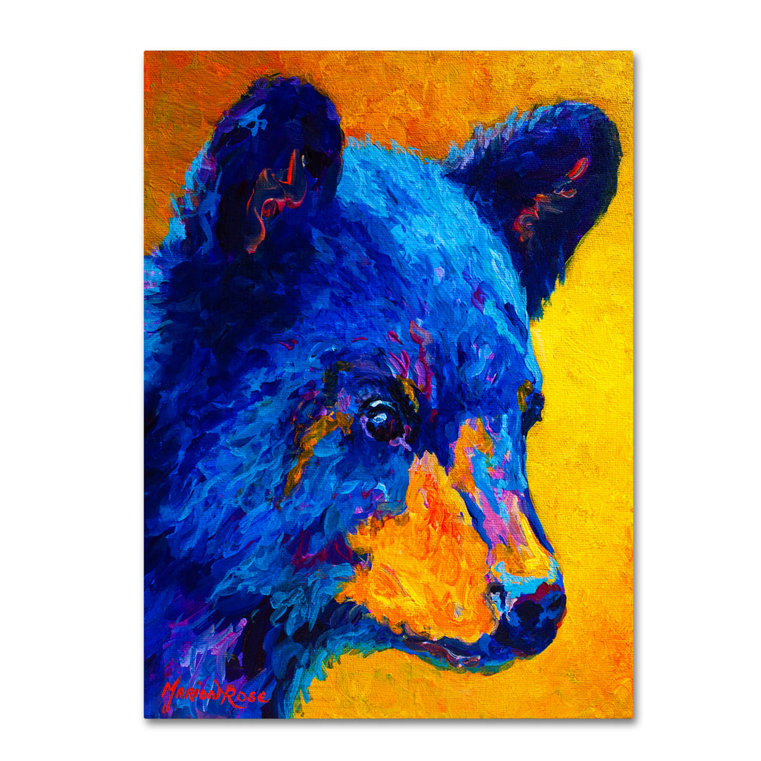 Marion Rose Black Bear Cub 2 Ready to Hang Canvas Art 35 x 47 Inches Made in USA Image 1