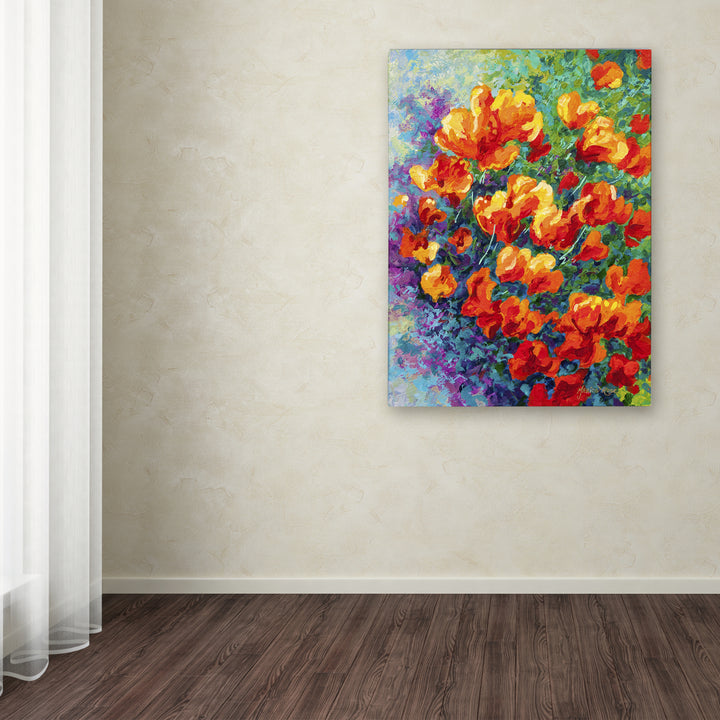 Marion Rose Cal Poppies Ready to Hang Canvas Art 35 x 47 Inches Made in USA Image 3