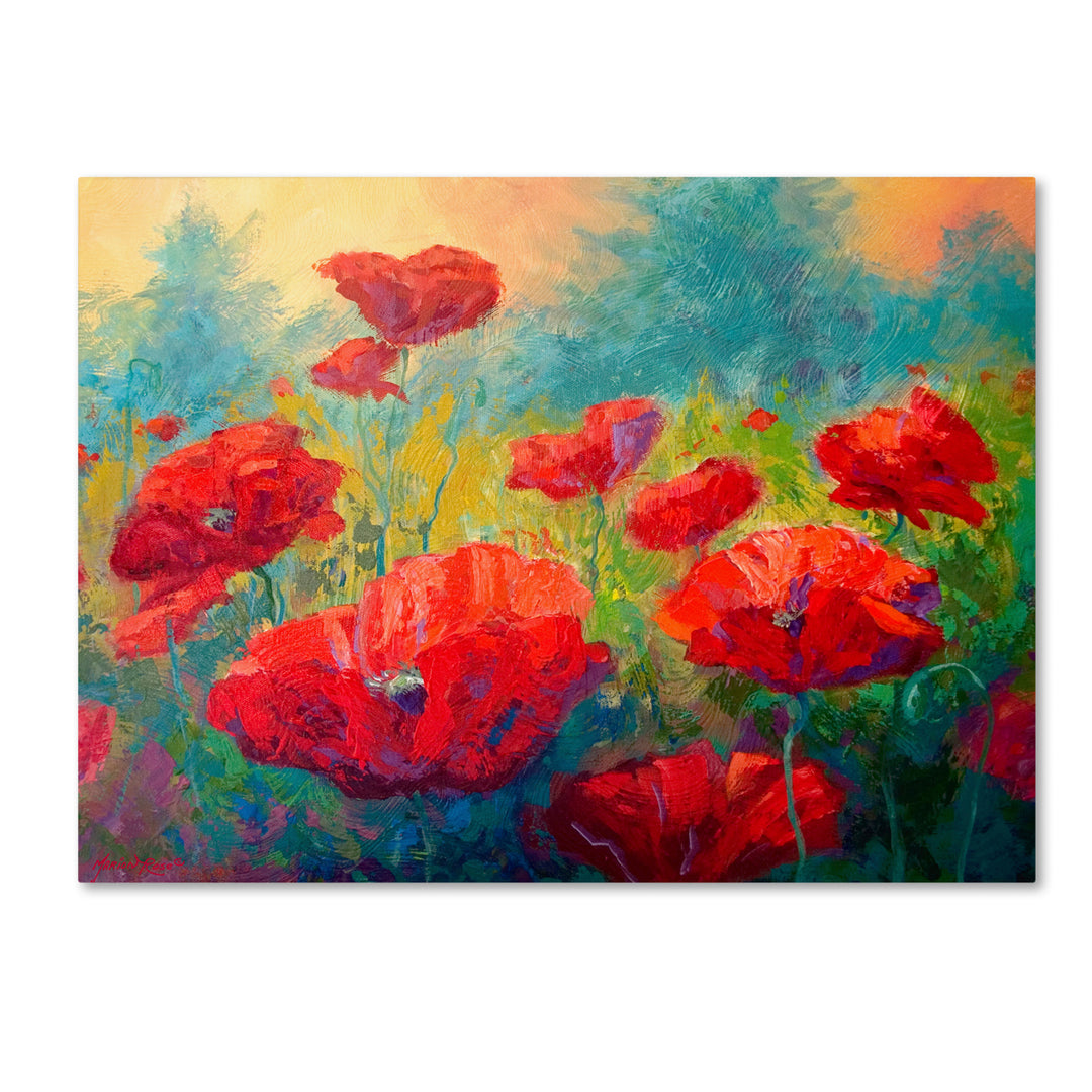 Marion Rose Field of Poppies Ready to Hang Canvas Art 35 x 47 Inches Made in USA Image 1
