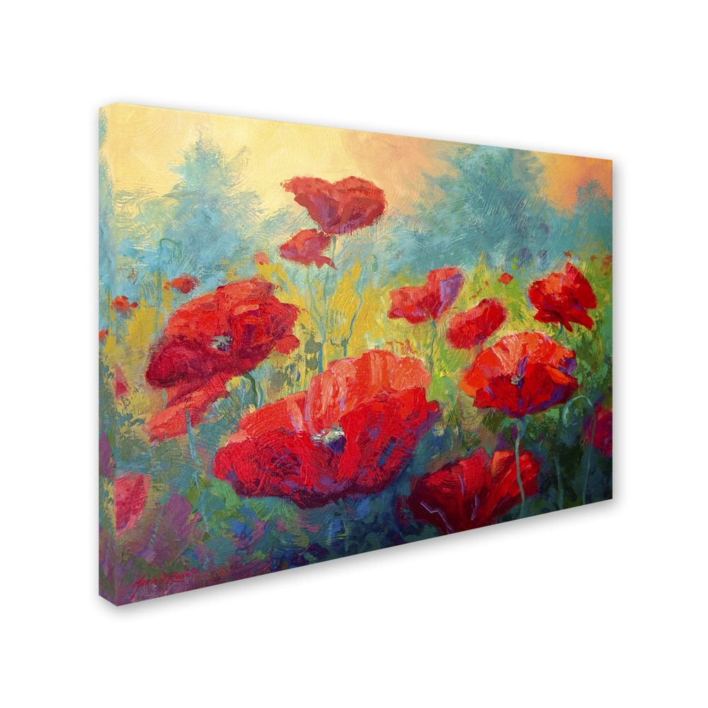 Marion Rose Field of Poppies Ready to Hang Canvas Art 35 x 47 Inches Made in USA Image 2