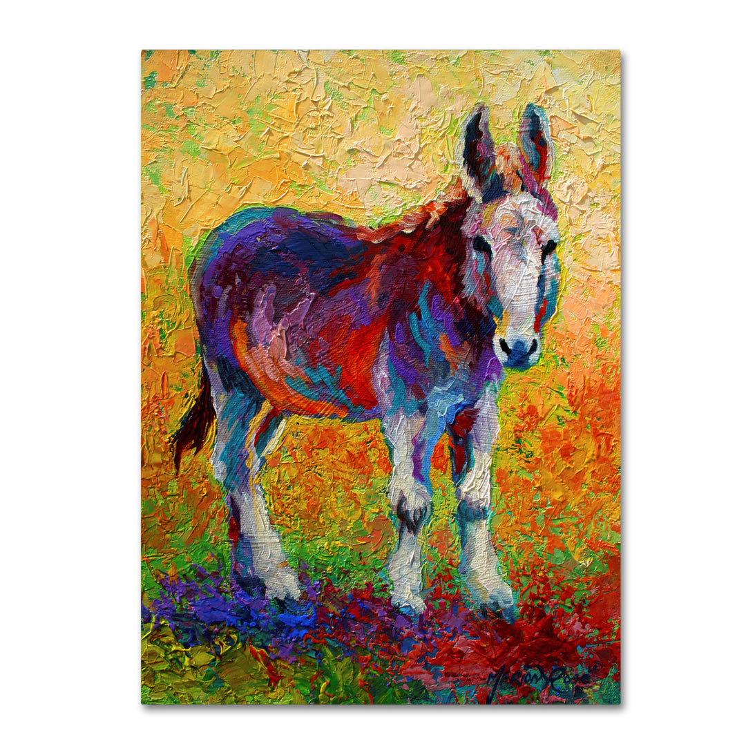 Marion Rose Migo Ready to Hang Canvas Art 35 x 47 Inches Made in USA Image 1