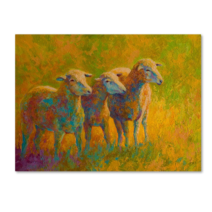 Marion Rose Sheep Trio Ready to Hang Canvas Art 35 x 47 Inches Made in USA Image 1