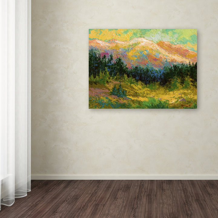 Marion Rose Summer High Country Ready to Hang Canvas Art 35 x 47 Inches Made in USA Image 3