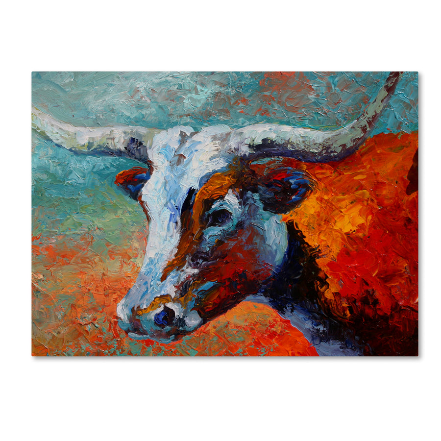 Marion Rose Young Longhorn Ready to Hang Canvas Art 35 x 47 Inches Made in USA Image 1