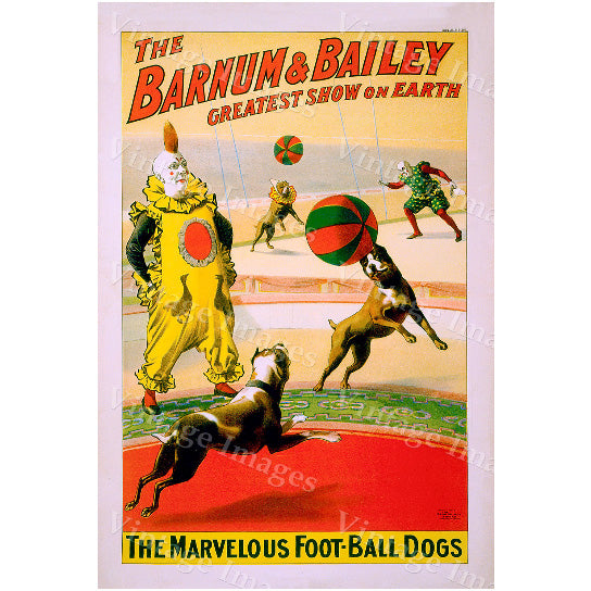 Vintage Circus Poster 1903 Barnum and Bailey colorful Circus big top clown and dogs Poster Childrens kids Game Room Fine Image 1